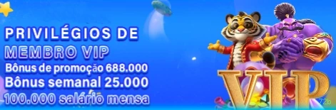 Programa VIP 72b